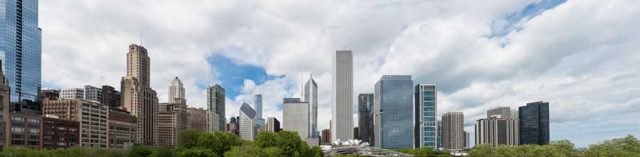 Chicago Skyline