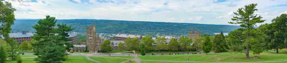 Cornell Campus, wide view