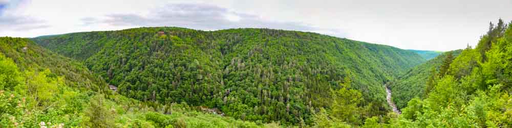 DSC_6930-44-Pendleton-Overlook.jpg