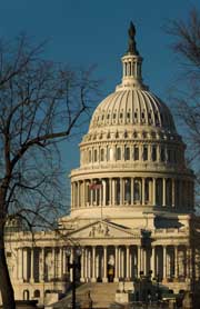 U.S. Capitol - Closeup, East