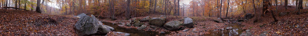 Ellicott City in the Fall