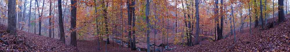 Ellicott City in the Fall